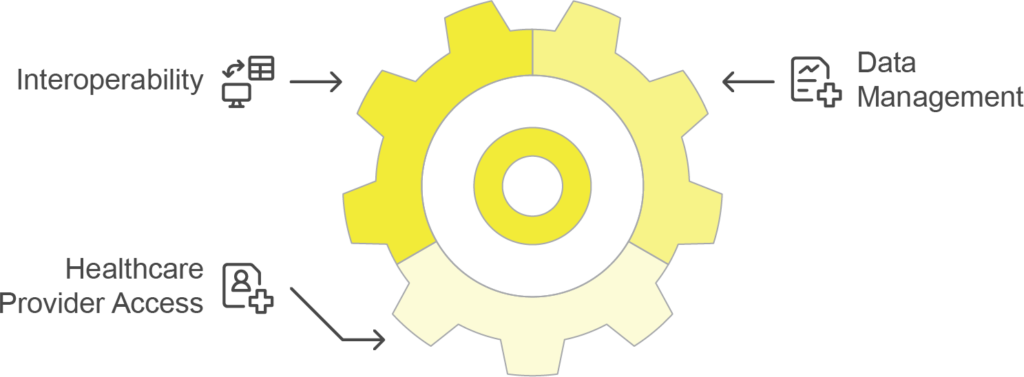 Diagram of Componenets of VNA